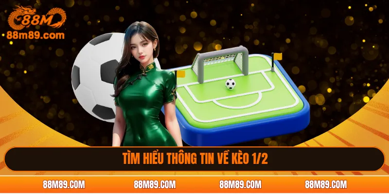 Tìm hiểu thông tin về kèo 1/2